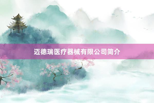 迈德瑞医疗器械有限公司简介