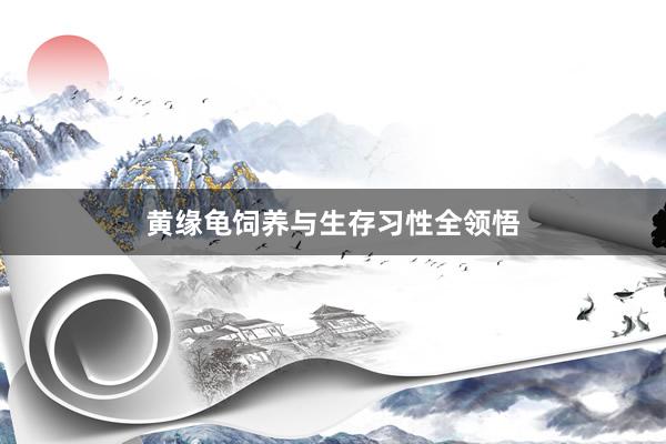 黄缘龟饲养与生存习性全领悟