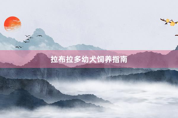 拉布拉多幼犬饲养指南