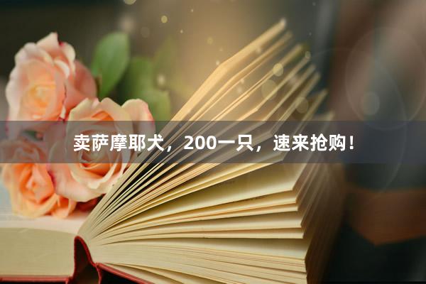卖萨摩耶犬，200一只，速来抢购！