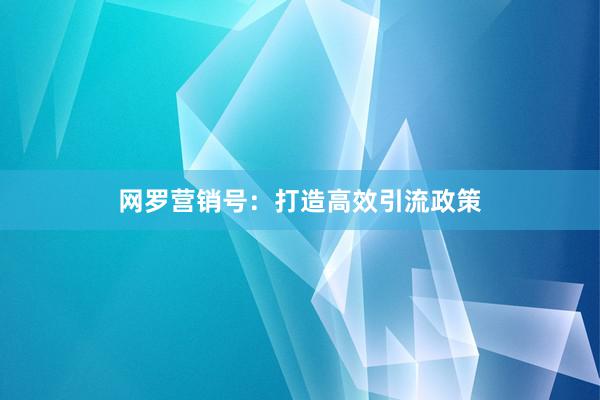网罗营销号：打造高效引流政策